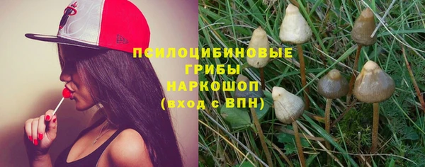 а пвп мука Алзамай