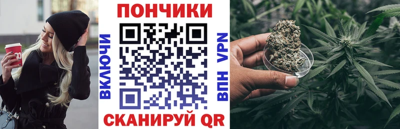 Бошки марихуана сатива  Купить где  Судогда 